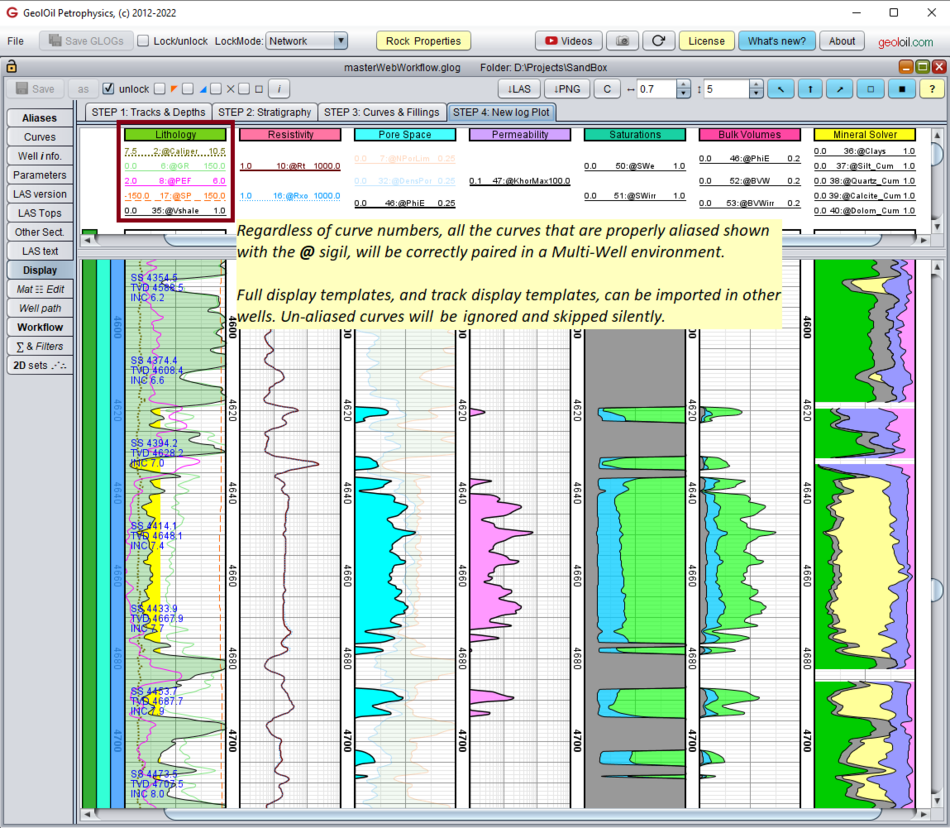 Final display of a well log plot after importing a GeolOil display template