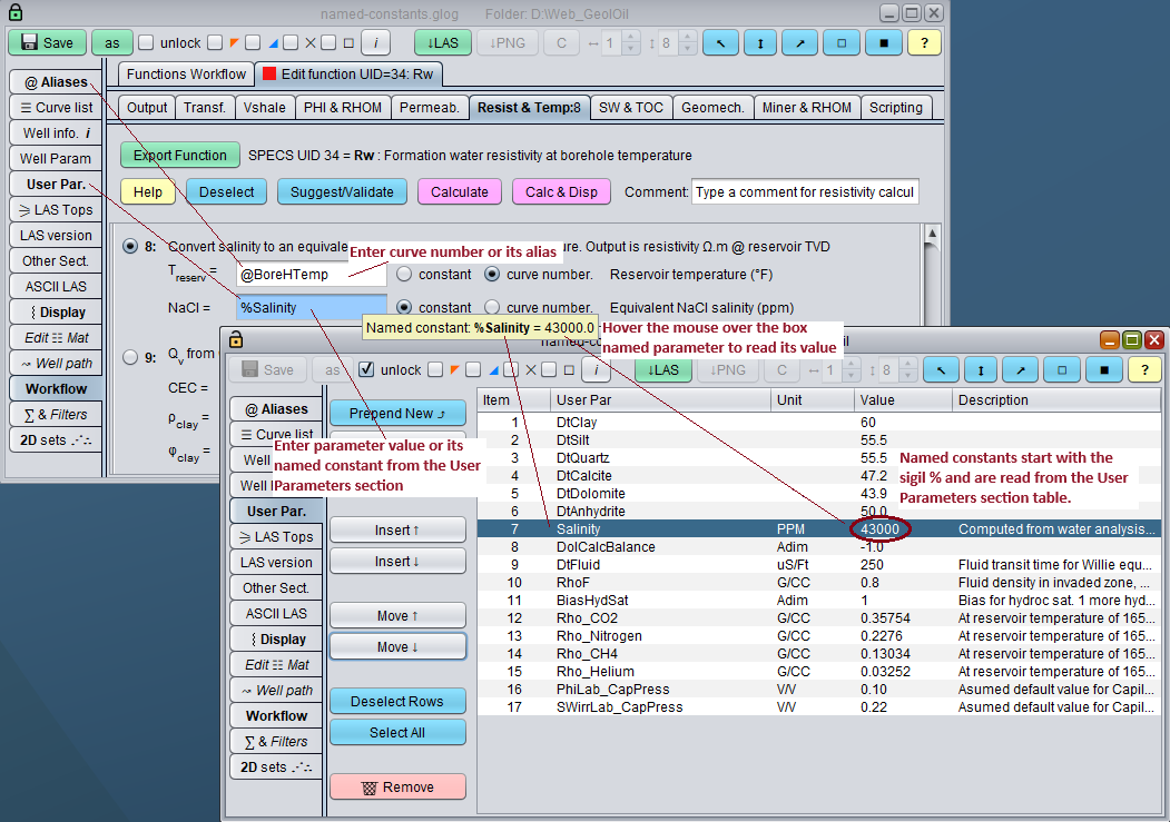 How to manage user defined parameter named constants in GeolOil Petrophysics Software
