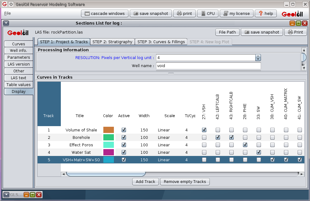 Settings curves and tracks to display borehole geometry and rock volume partition